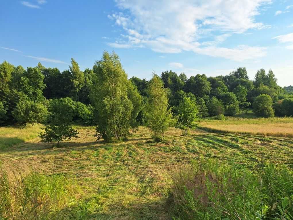 Działka budowlana Nawojowa Góra, ul. Marii Pałasińskiej