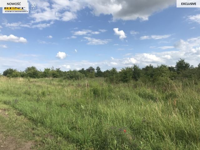 Działka budowlana Mierzyn. Zdjęcie 2