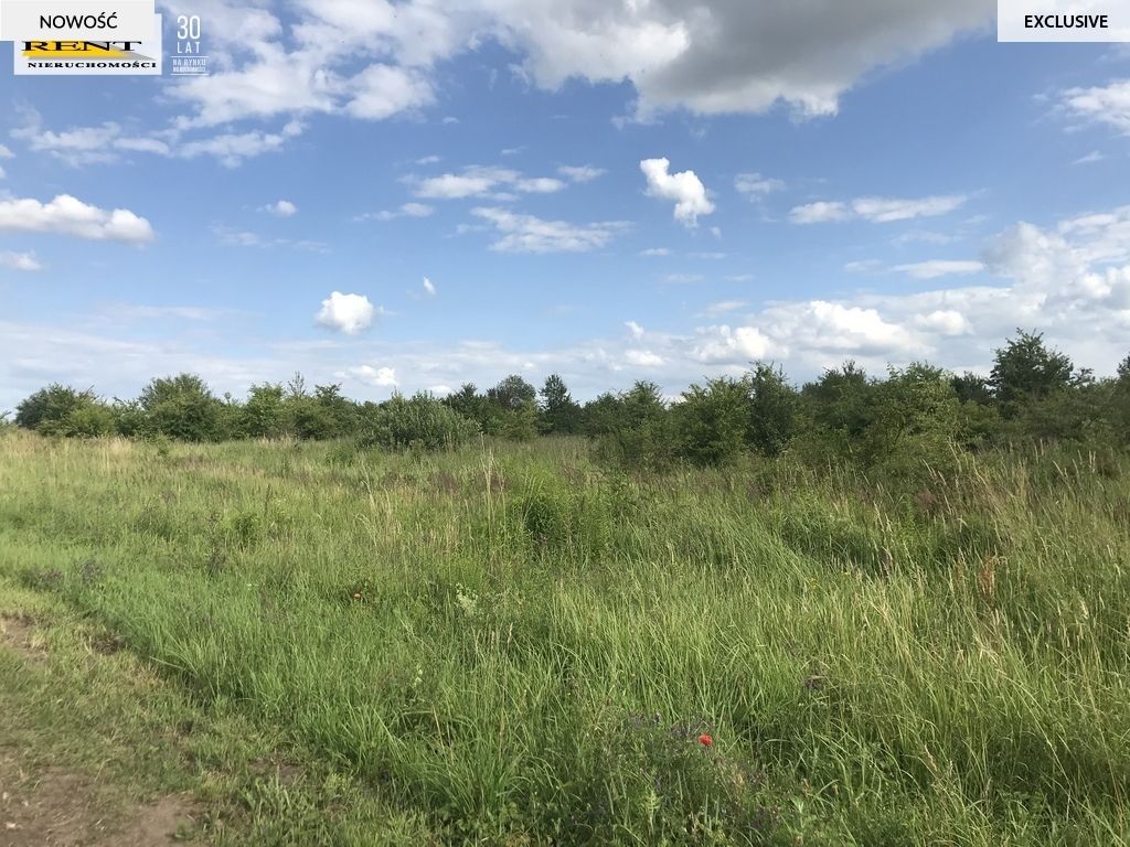Działka budowlana Mierzyn. Zdjęcie 2