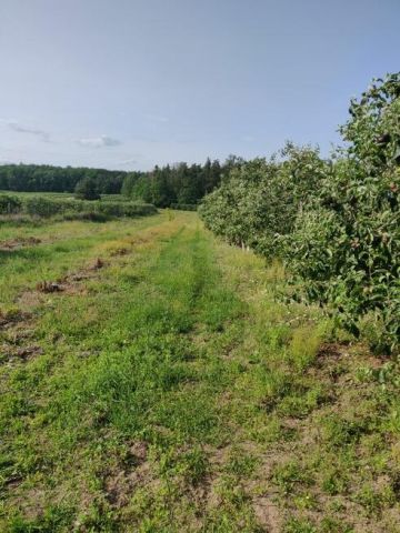 Działka rolna Wola Worowska. Zdjęcie 1