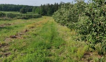 Działka rolna Wola Worowska