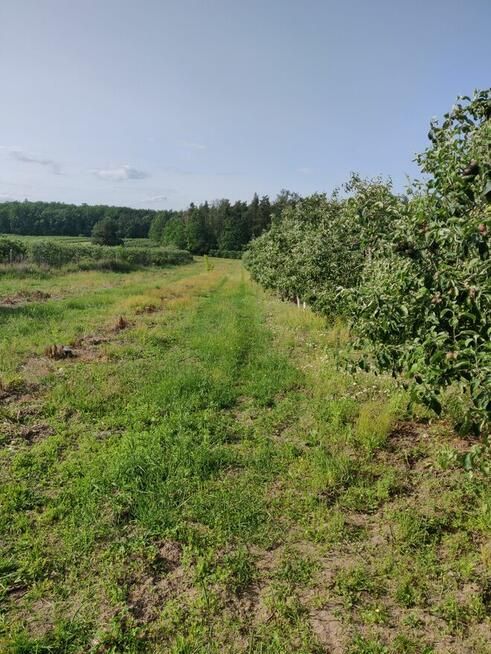 Działka rolna Wola Worowska