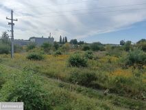 Działka rolna Police. Zdjęcie 3