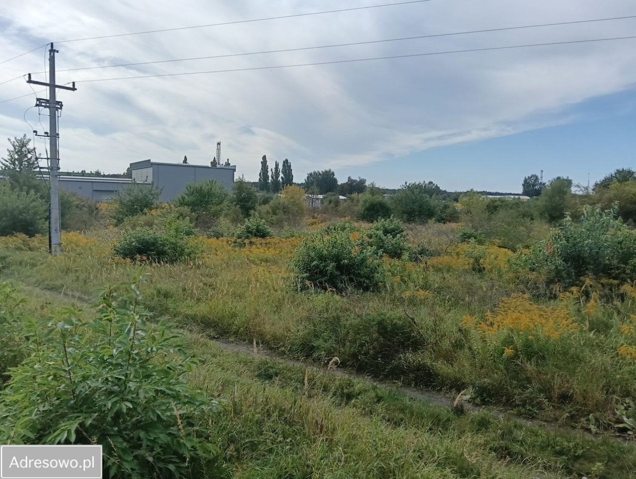 Działka rolna Police. Zdjęcie 4