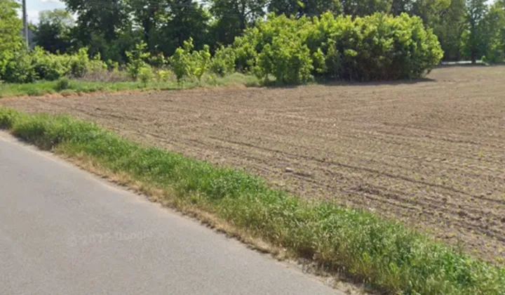 Działka budowlana Wielgie