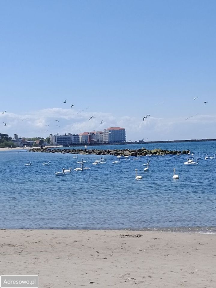 Działka budowlana Darłowo, ul. Wierzbowa. Zdjęcie 15