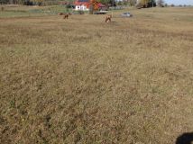 Działka rolno-budowlana Gady. Zdjęcie 4