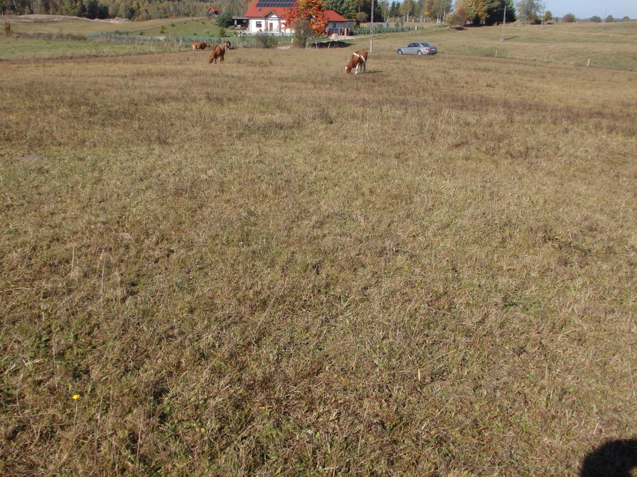 Działka rolno-budowlana Gady. Zdjęcie 5