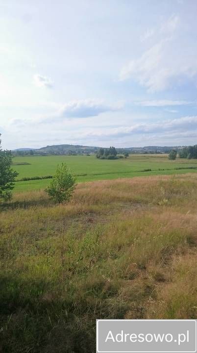 Działka rolno-budowlana Górno-Parcele. Zdjęcie 9