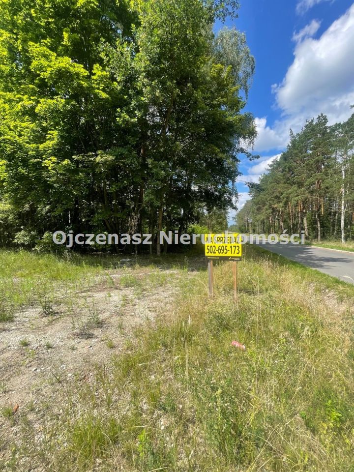 Działka leśna Toporzysko