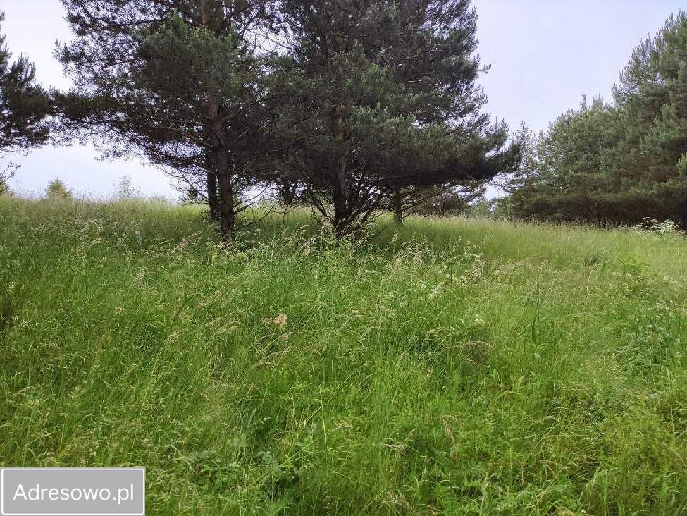 Działka rolna Rostki Skomackie. Zdjęcie 12