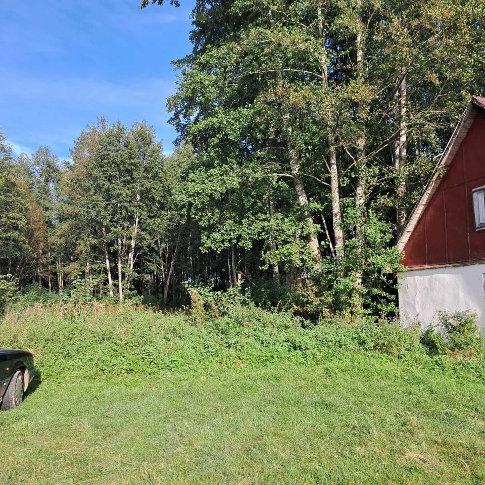 Działka rolna Sędańsk. Zdjęcie 3