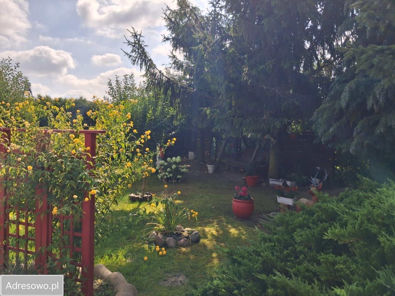 dom wolnostojący, 7 pokoi Ciosaniec. Zdjęcie 3