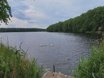 Działka rod Szczecin Centrum. Zdjęcie 1