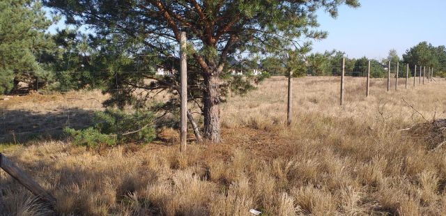 Działka inwestycyjna Krzyż Wielkopolski, ul. Bukowa. Zdjęcie 1