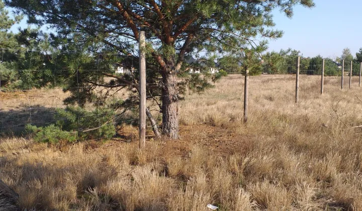 Działka inwestycyjna Krzyż Wielkopolski, ul. Bukowa