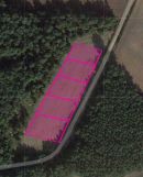 Działka budowlana Kurów. Zdjęcie 2