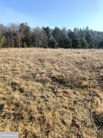 Działka rolno-budowlana Olszewnica Nowa, ul. Spacerowa. Zdjęcie 2