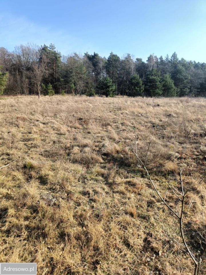 Działka rolna Olszewnica Nowa, ul. Spacerowa. Zdjęcie 5