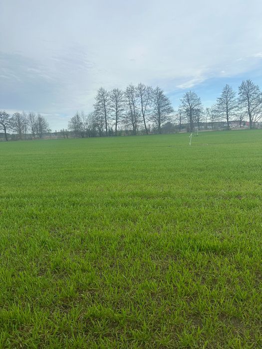 Działka budowlana Grójec Mały. Zdjęcie 2