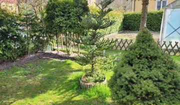 Mieszkanie 2-pokojowe Teresin, al. XX-lecia