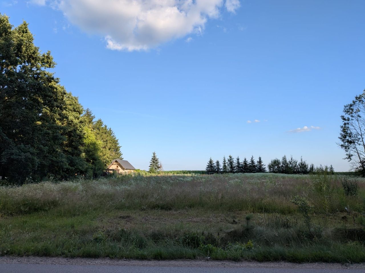 Działka budowlana Kalinowo. Zdjęcie 8