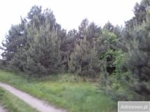 Działka rekreacyjna Kobylin. Zdjęcie 4