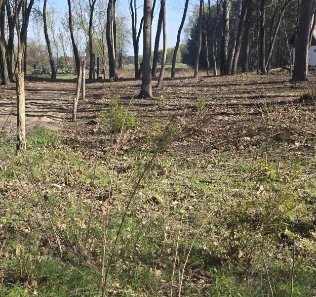Działka budowlana Wołomin Mironowe Górki. Zdjęcie 2