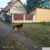 dom wolnostojący, 5 pokoi Ząbki Centrum, ul. Józefa Piłsudskiego. Zdjęcie 2