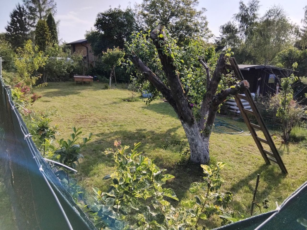 Działka rod Olsztyn. Zdjęcie 3