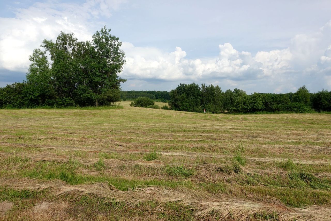 Działka rolno-budowlana Kaplityny. Zdjęcie 10