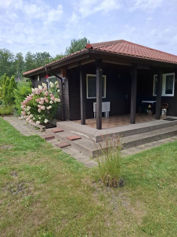 Działka rod Czarna Struga. Zdjęcie 1