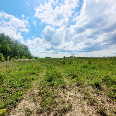 Działka budowlana Gumienice Straszniów Gumienicki. Zdjęcie 1