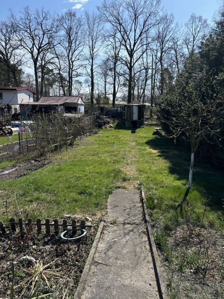 Działka rod Gryfino. Zdjęcie 7