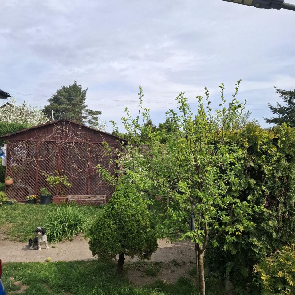 Działka rod Złotniki. Zdjęcie 2