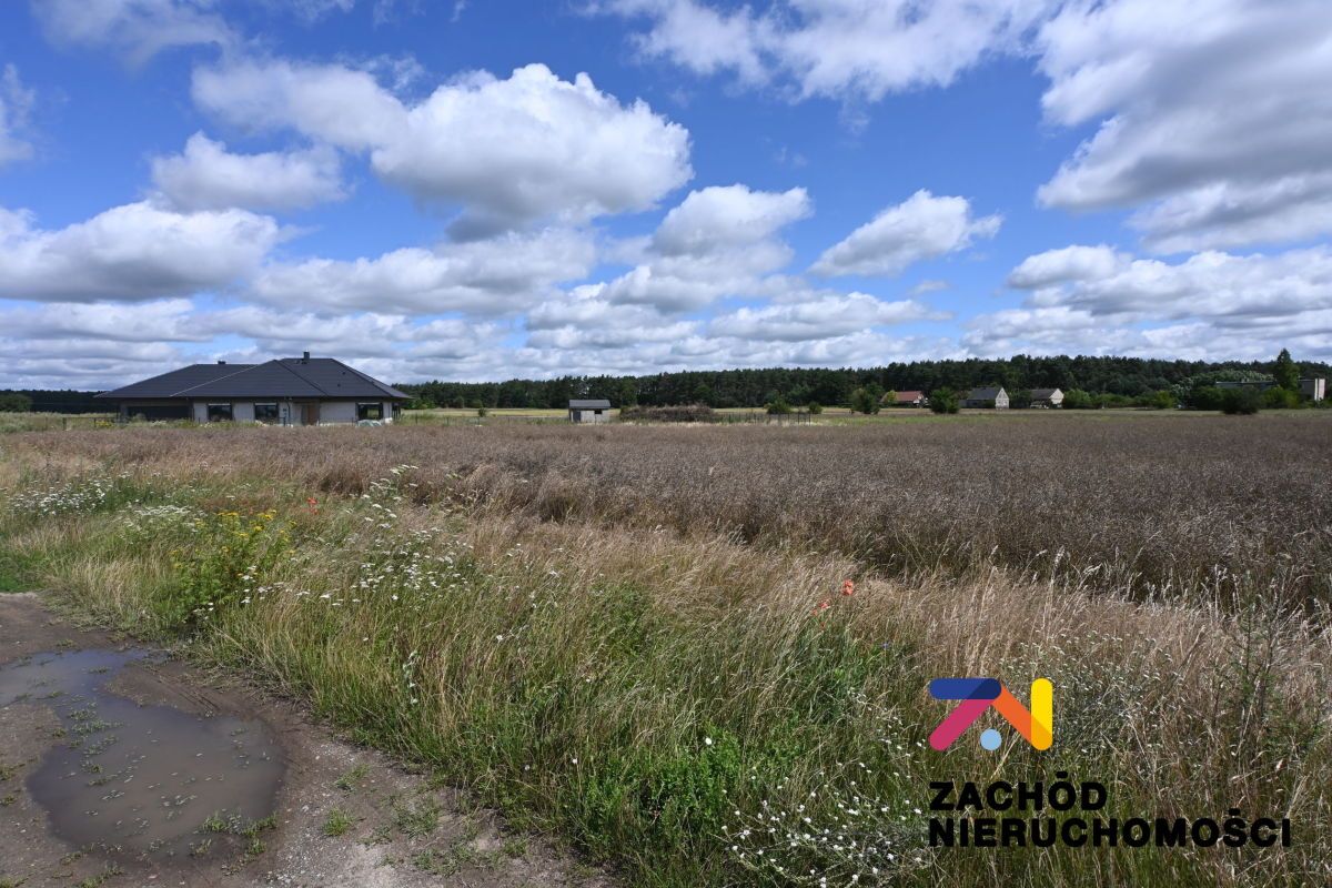 Działka budowlana Niedoradz. Zdjęcie 10