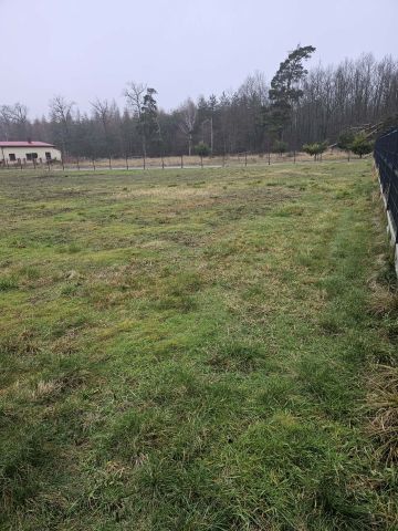 Działka siedliskowa Kajew. Zdjęcie 2