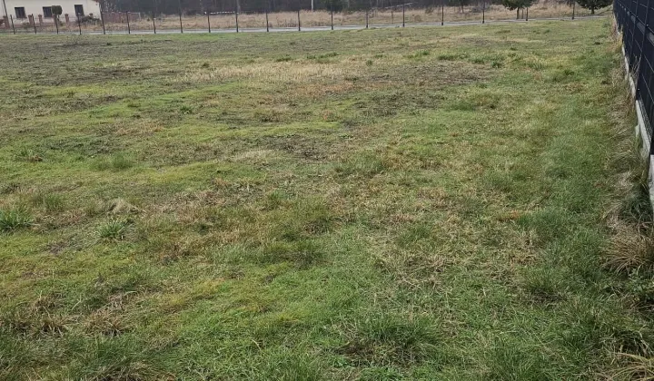 Działka siedliskowa Kajew