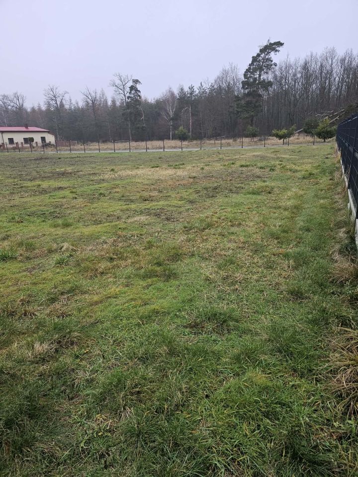 Działka siedliskowa Kajew. Zdjęcie 2