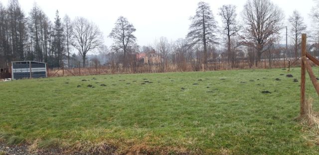 Działka budowlana Chybie, ul. Jeżynowa. Zdjęcie 1