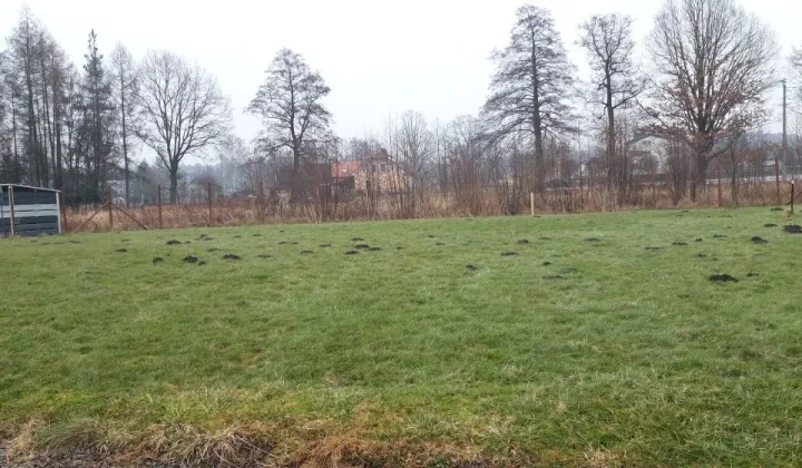 Działka budowlana Chybie, ul. Jeżynowa