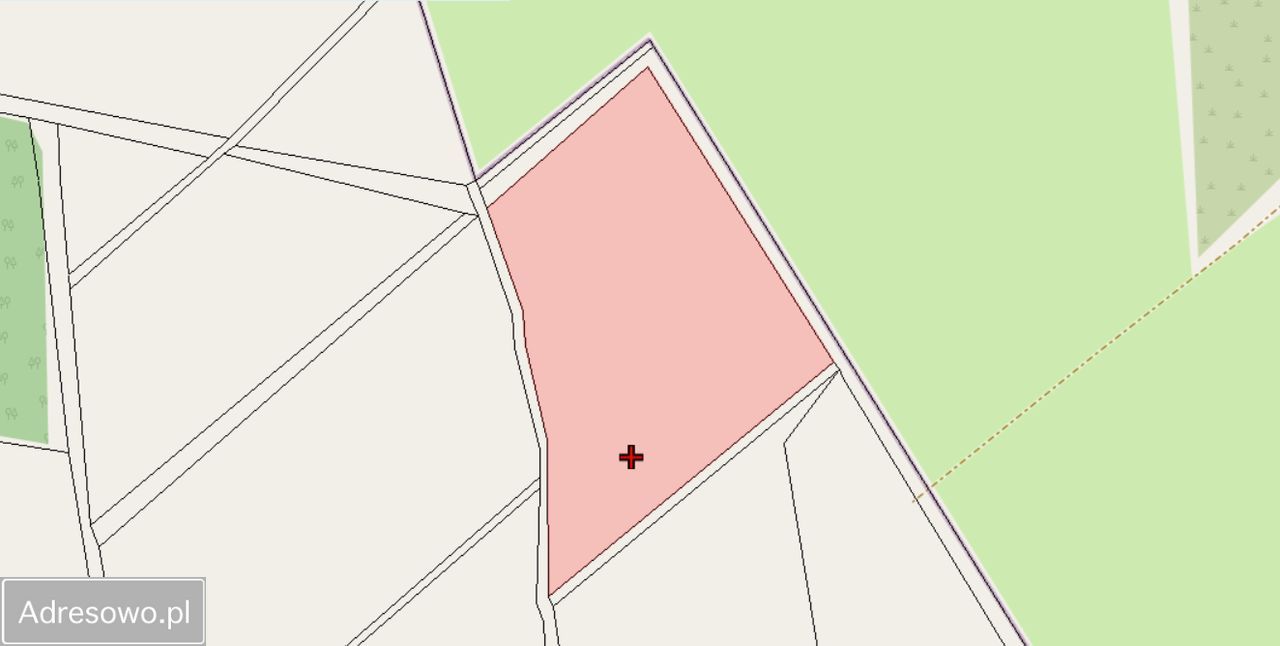 Działka rolna Kozin. Zdjęcie 4