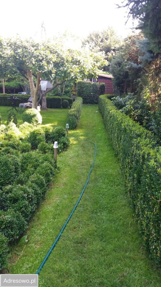 Mieszkanie 3-pokojowe Jerzmanice-Zdrój. Zdjęcie 4