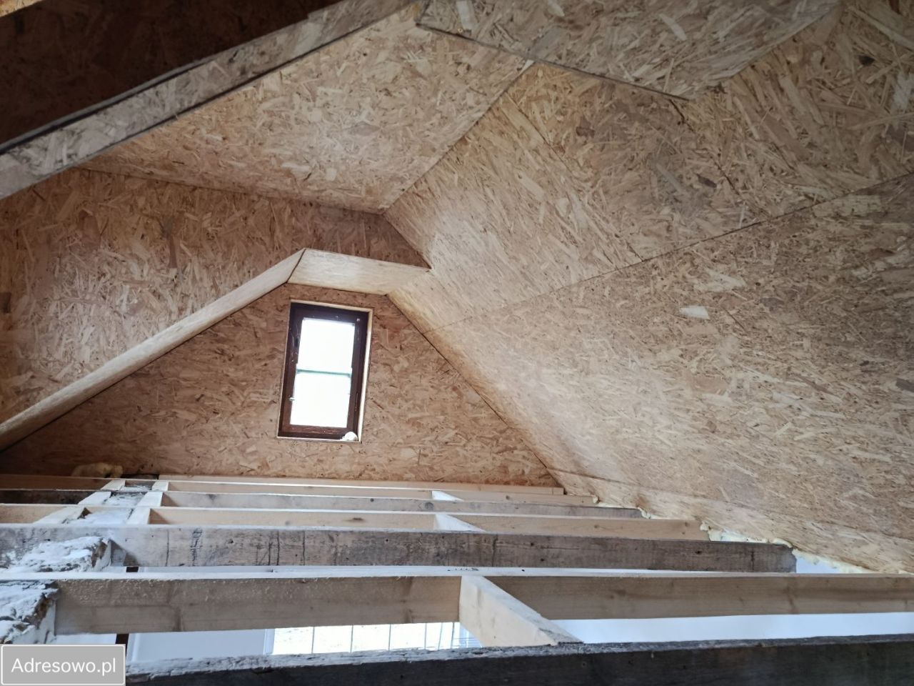 Działka rod Pisz. Zdjęcie 6