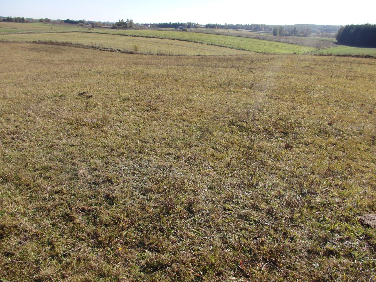 Działka rolno-budowlana Gady. Zdjęcie 7