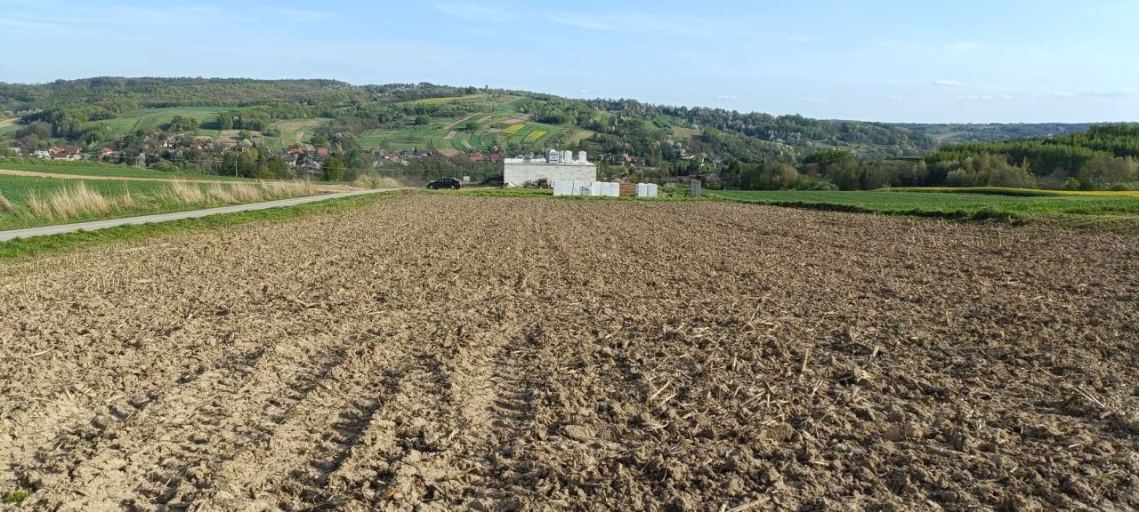Działka budowlana Pruchnik Pruchnik Dolny, ul. Spacerowa