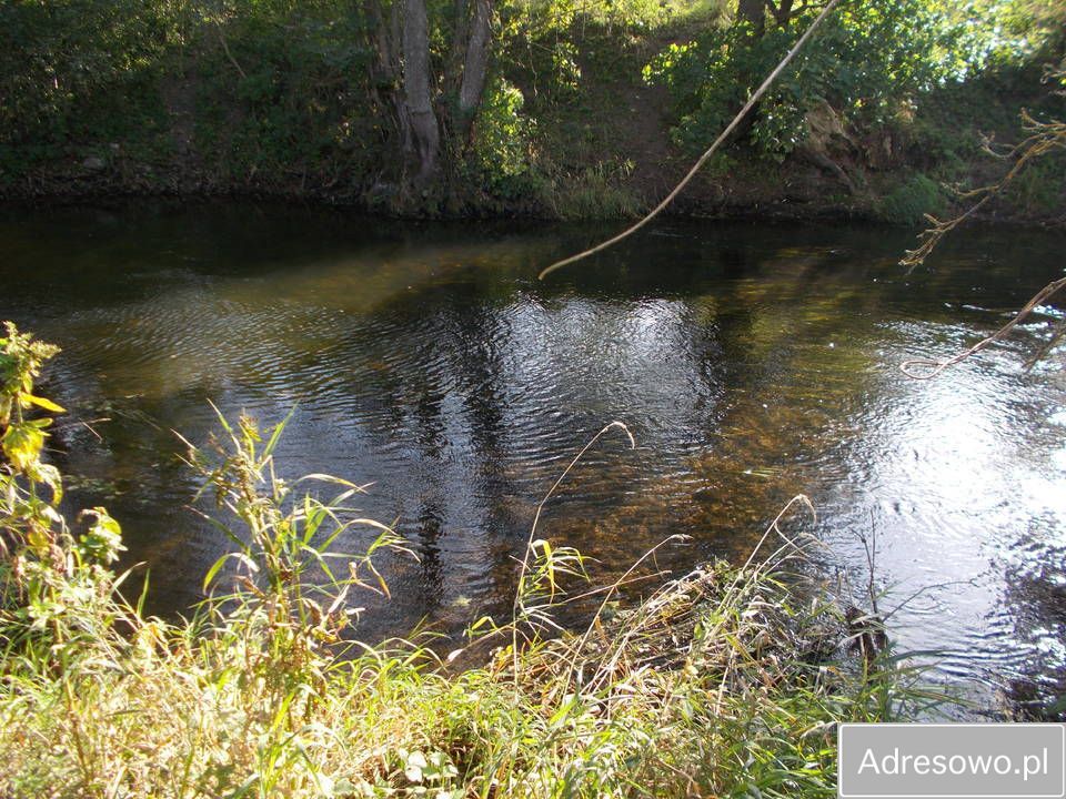 Działka siedliskowa Sapałówka. Zdjęcie 12