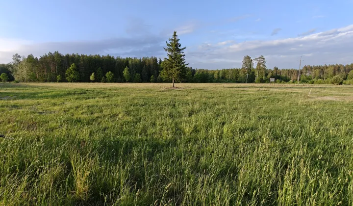 Działka rolno-budowlana Borki Rozowskie