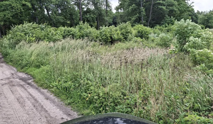 Działka rekreacyjna Ruda Jeżewska Zygmuntów, Przyszłość