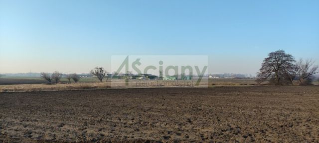 Działka rolno-budowlana Cholewy. Zdjęcie 4